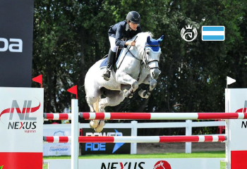 Pegasus Athenea